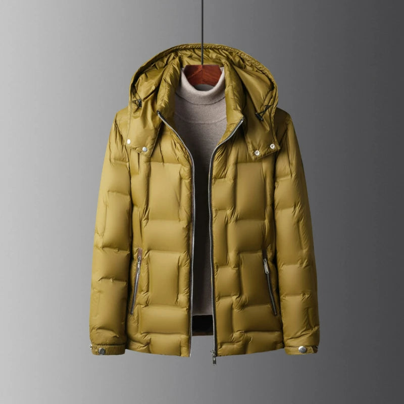 AristonShield Down Jacket